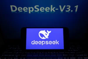 DeepSeek-V3.1
