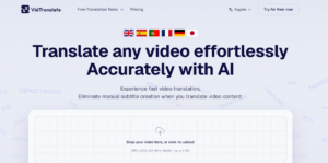 VidTranslate AI